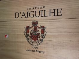 Chat. D`Aiguilhe  - Comte de Neipperg - Cotes Bordeaux 2009